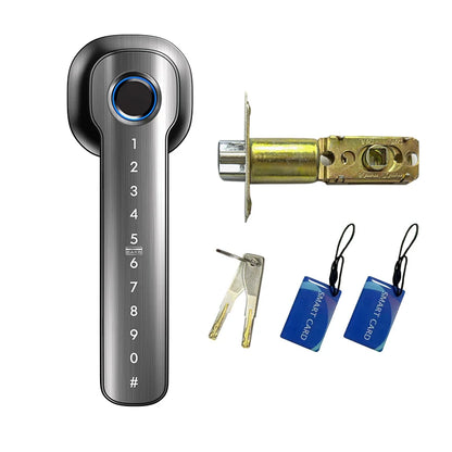 Ttlock Outdoor Waterproof Black Tuya Smart Lock for Aluminum or Steel Door