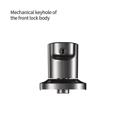 Ttlock Outdoor Waterproof Black Tuya Smart Lock for Aluminum or Steel Door